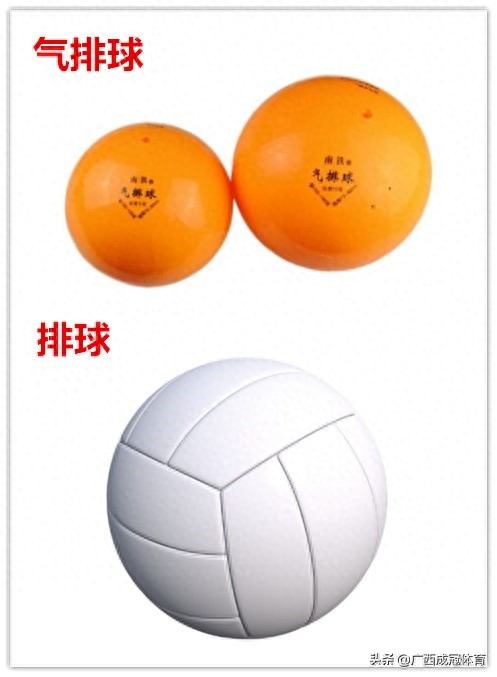 氣排球和排球的區(qū)別規(guī)則圖片